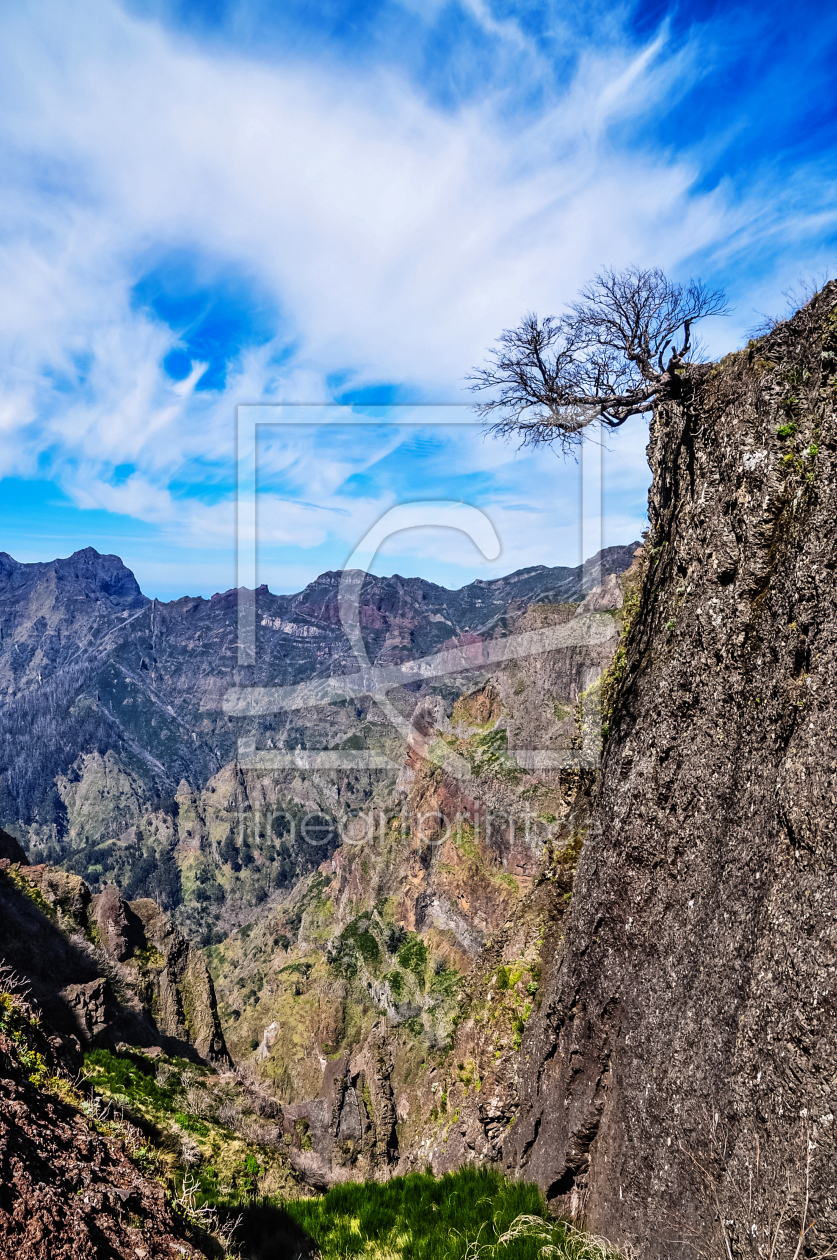 Bild-Nr.: 11887134 über der Schlucht erstellt von georgfotoart