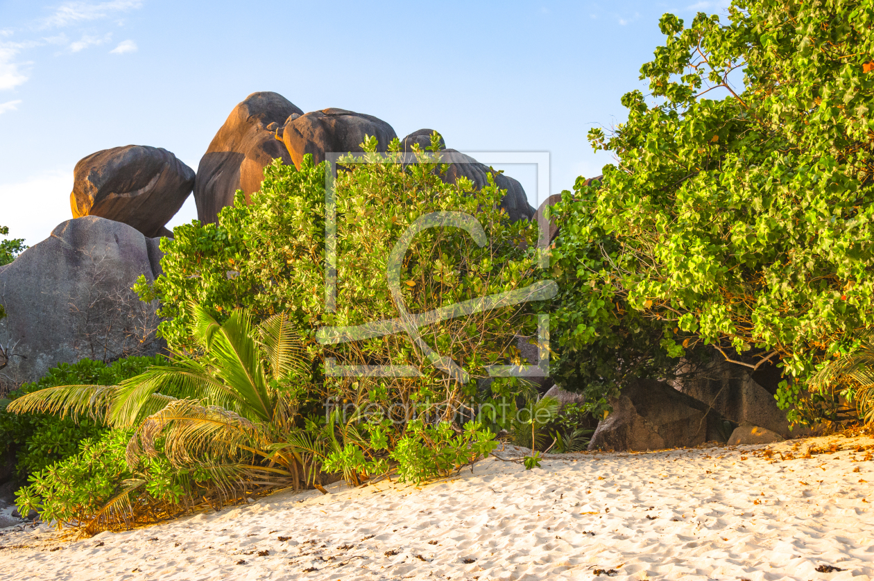 Bild-Nr.: 11888046 Seychellenstrand erstellt von KundenNr-160338