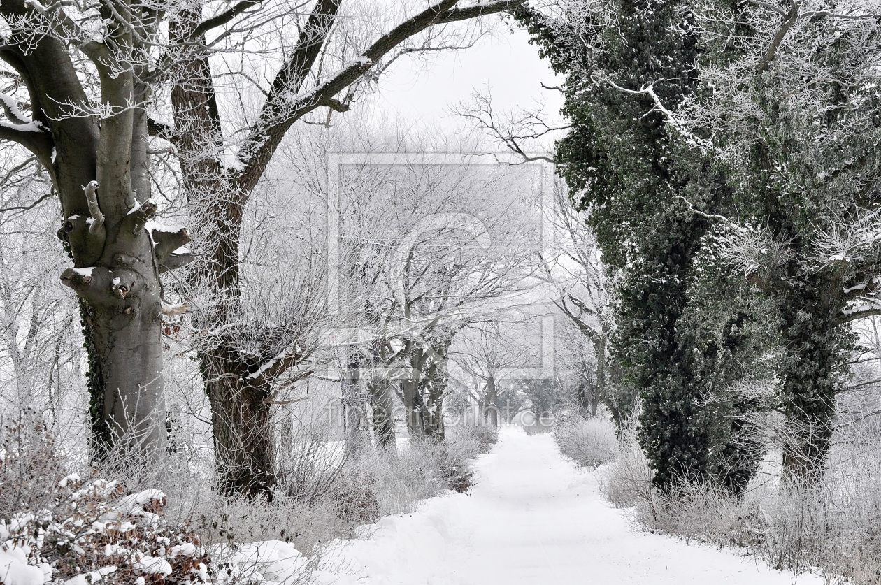 Bild-Nr.: 11888525 Winterwanderweg erstellt von Ostfriese