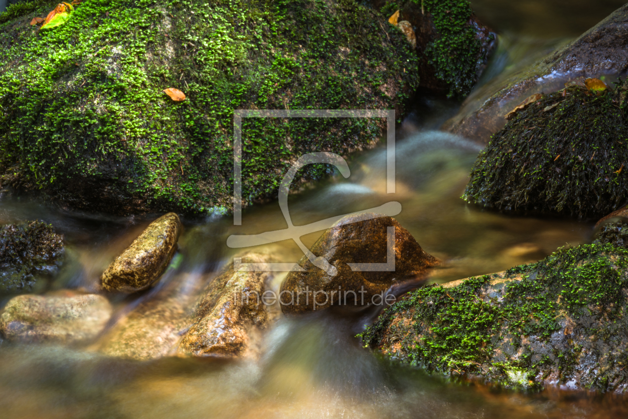Bild-Nr.: 11889279 Wasserfarben Bild-Nr.: 11889279 Wasserfarben erstellt von luxpediation