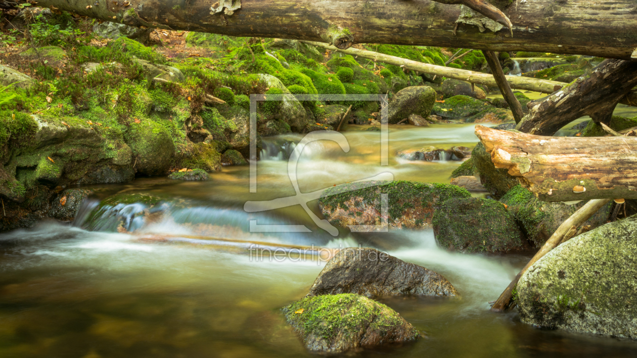 Bild-Nr.: 11889281 river and wood Bild-Nr.: 11889281 river and wood erstellt von luxpediation