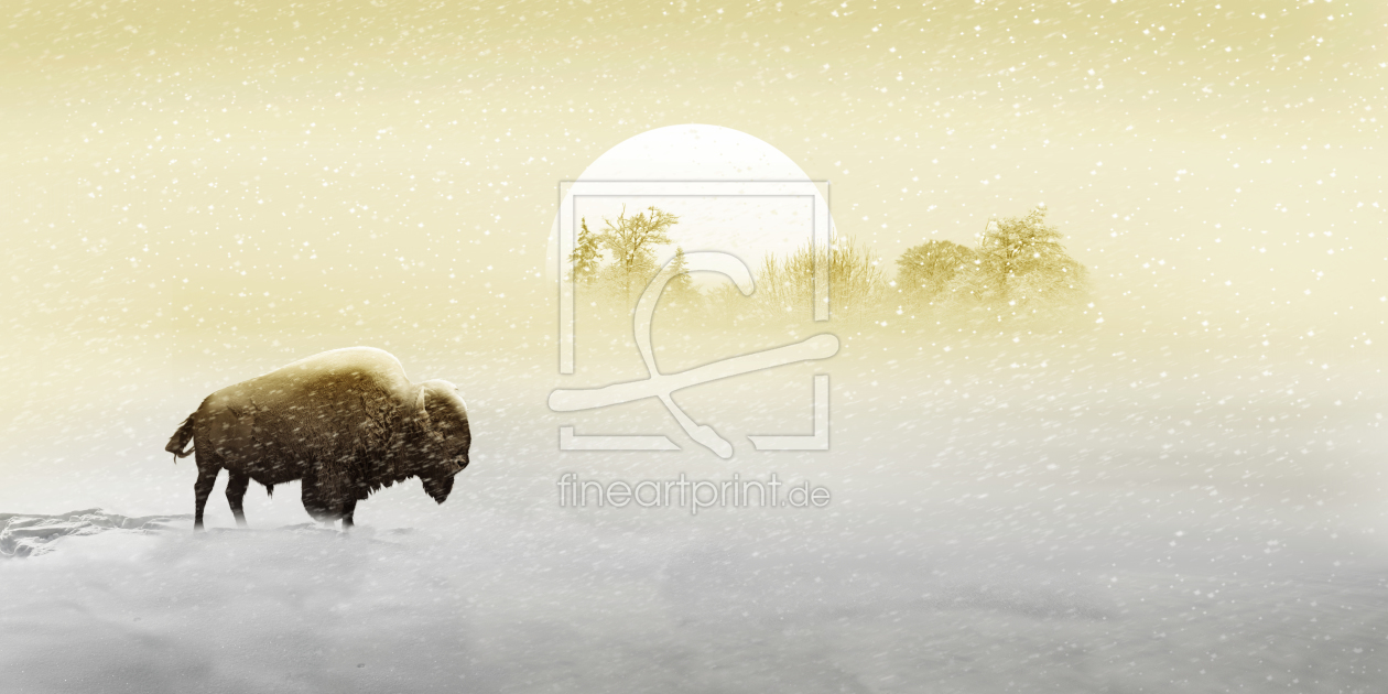 Bild-Nr.: 11889407 Bison im Schnee erstellt von Mausopardia