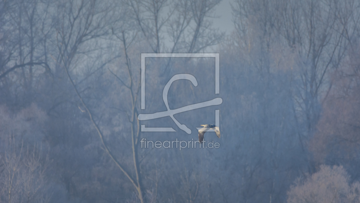 Bild-Nr.: 11889503 Flug in den Wald Bild-Nr.: 11889503 Flug in den Wald erstellt von luxpediation