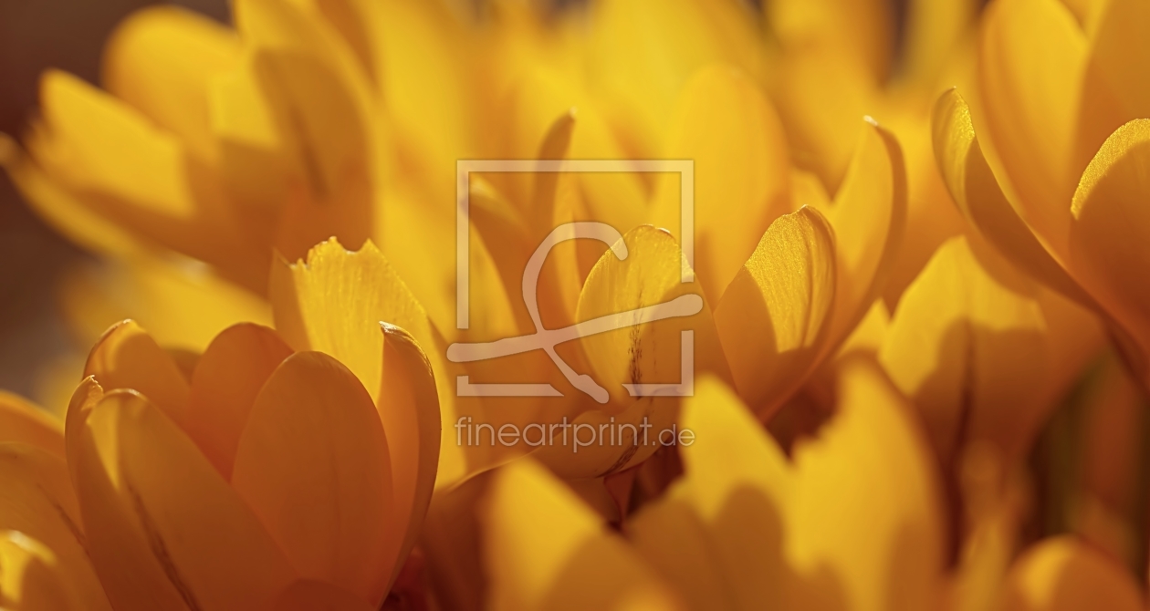 Bild-Nr.: 11890887 Sunny spring Bild-Nr.: 11890887 Sunny spring erstellt von youhaveadream