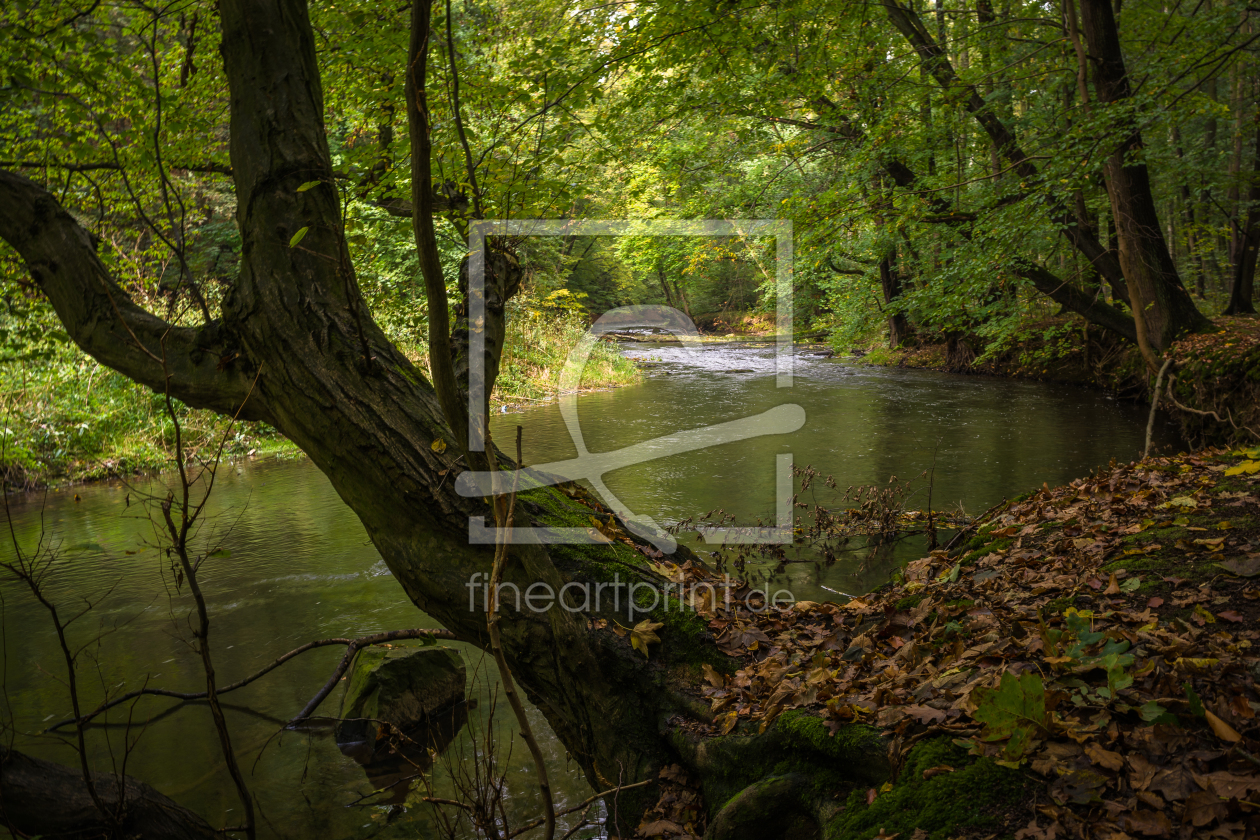 Bild-Nr.: 11890956 natur und wasser  erstellt von KundenNr-327707