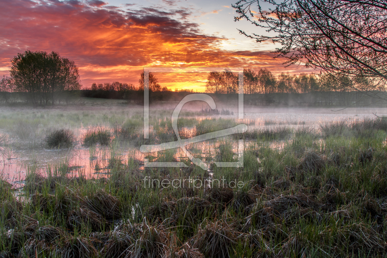 Bild-Nr.: 11891823 Sonnenaufgang am Weiher erstellt von Birk Vulpius