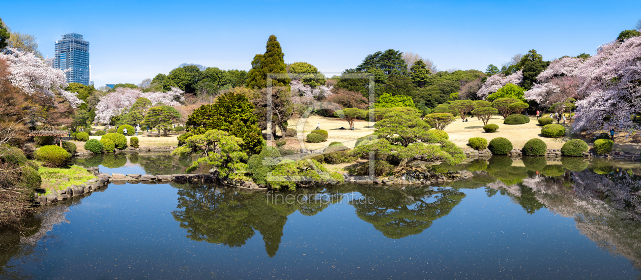 Bild-Nr.: 11891840 Shinjuku Gyoen im Frühling erstellt von eyetronic