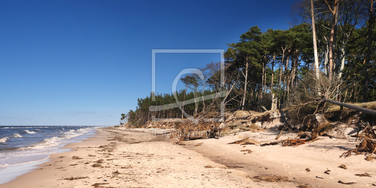 Bild-Nr.: 11892689 Darß Weststrand erstellt von dresdner