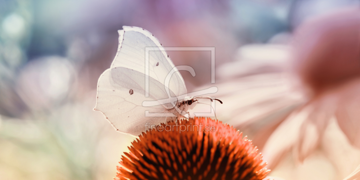 Bild-Nr.: 11892905 Butterfly erstellt von Atteloi