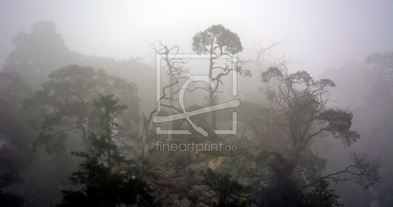 Bild-Nr.: 11894930 Bäume im Nebel erstellt von GUGIGEI