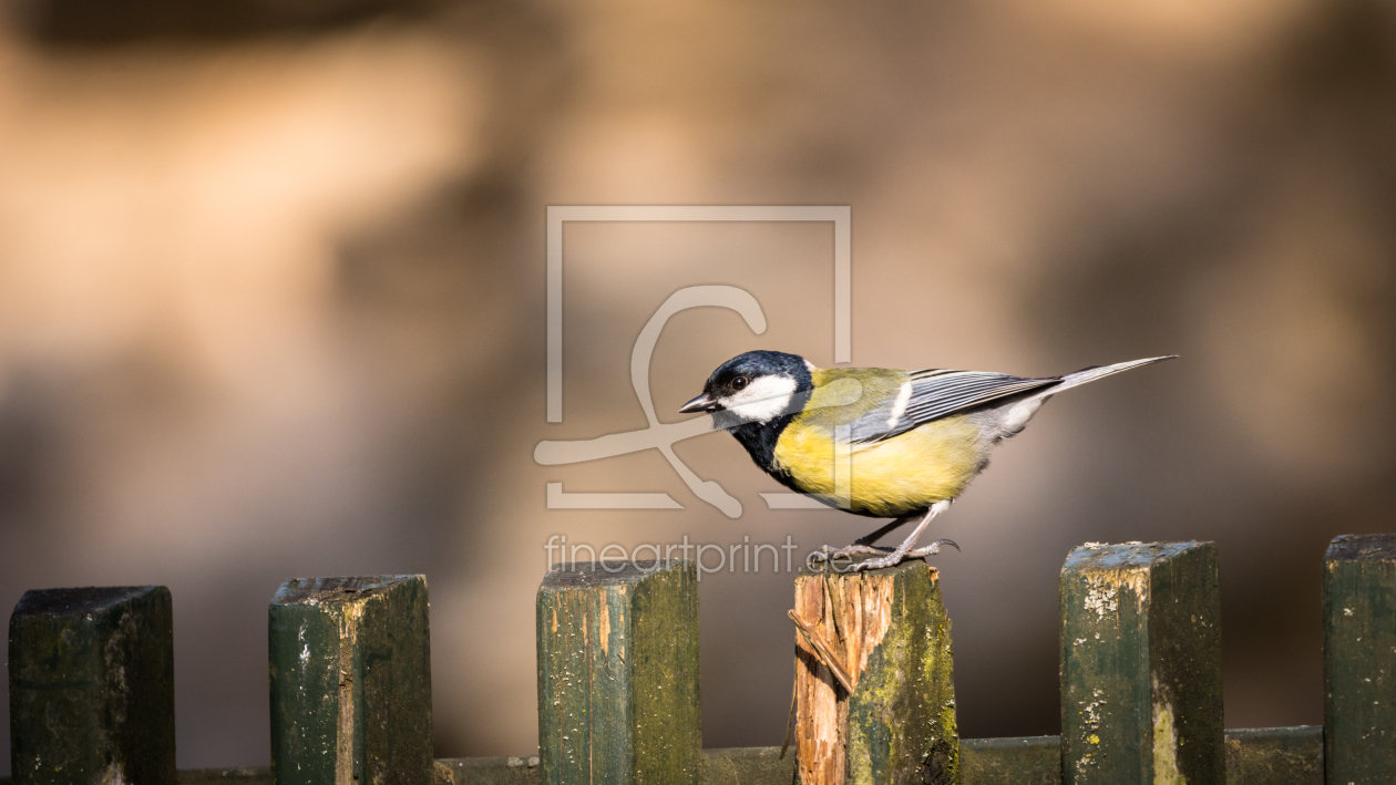 Bild-Nr.: 11895215 Zaun und Vogel im Garten erstellt von luxpediation