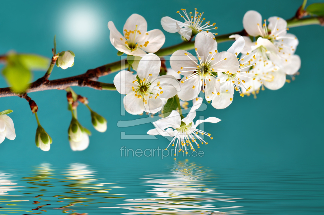 Bild-Nr.: 11896343 Frühling Bild-Nr.: 11896343 Frühling erstellt von Atteloi