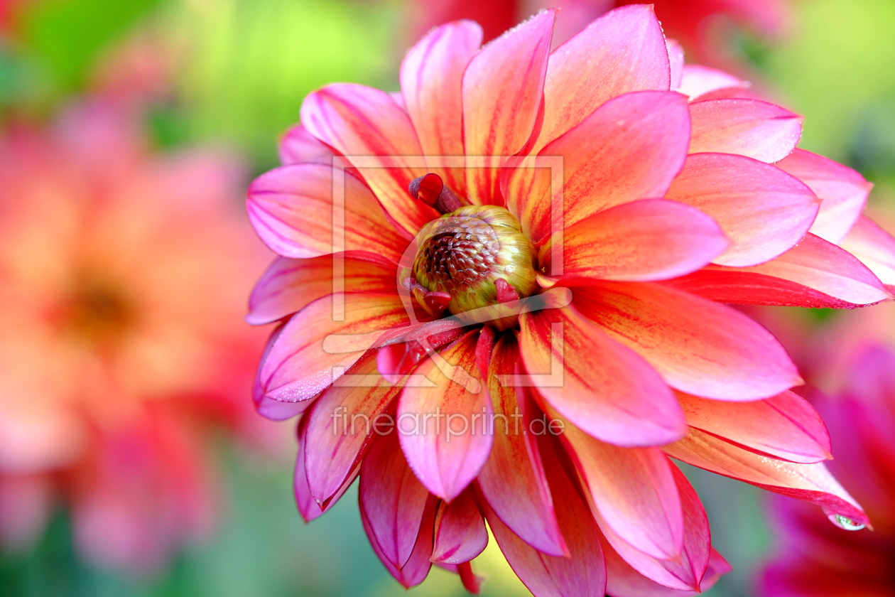 Bild-Nr.: 11896688 Herbstfarbidylle erstellt von Ostfriese