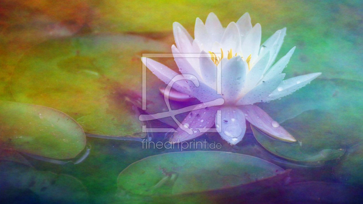 Bild-Nr.: 11896943 Shady Lady erstellt von D. Toelke DigiArt / Photography