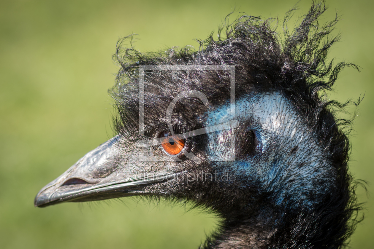 Bild-Nr.: 11897812 Punk erstellt von FotoDeHRO