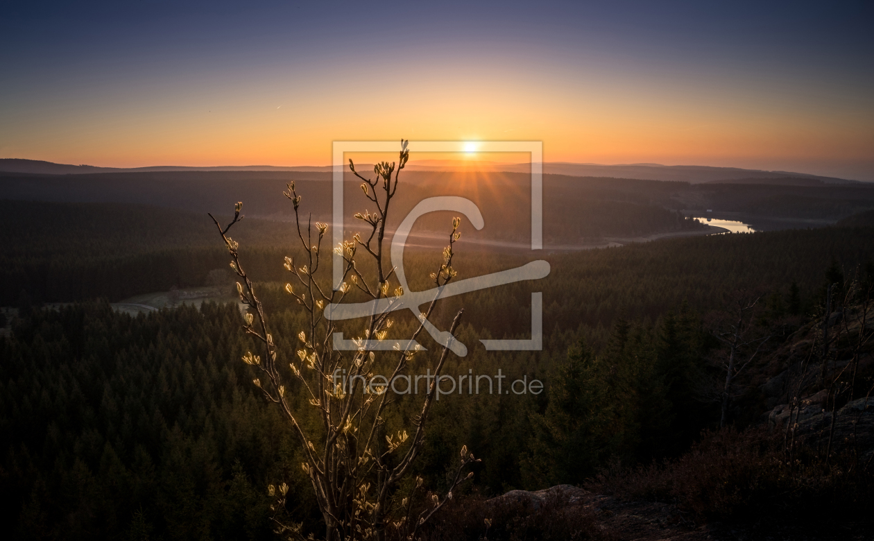 Bild-Nr.: 11898232 Sonnenuntergang im Harz erstellt von Steffen Henze
