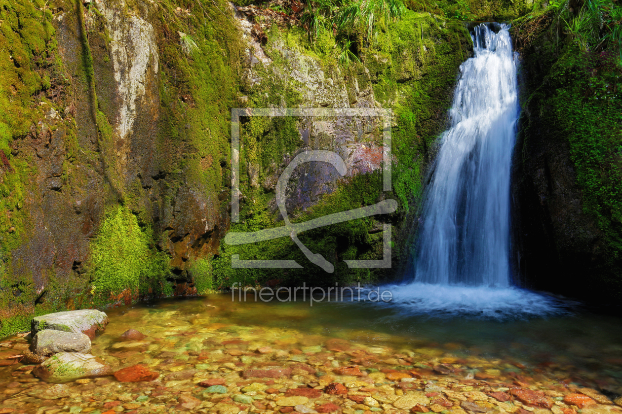 Bild-Nr.: 11898536 Wasserfall im Gottschlägtal erstellt von Thomas Herzog