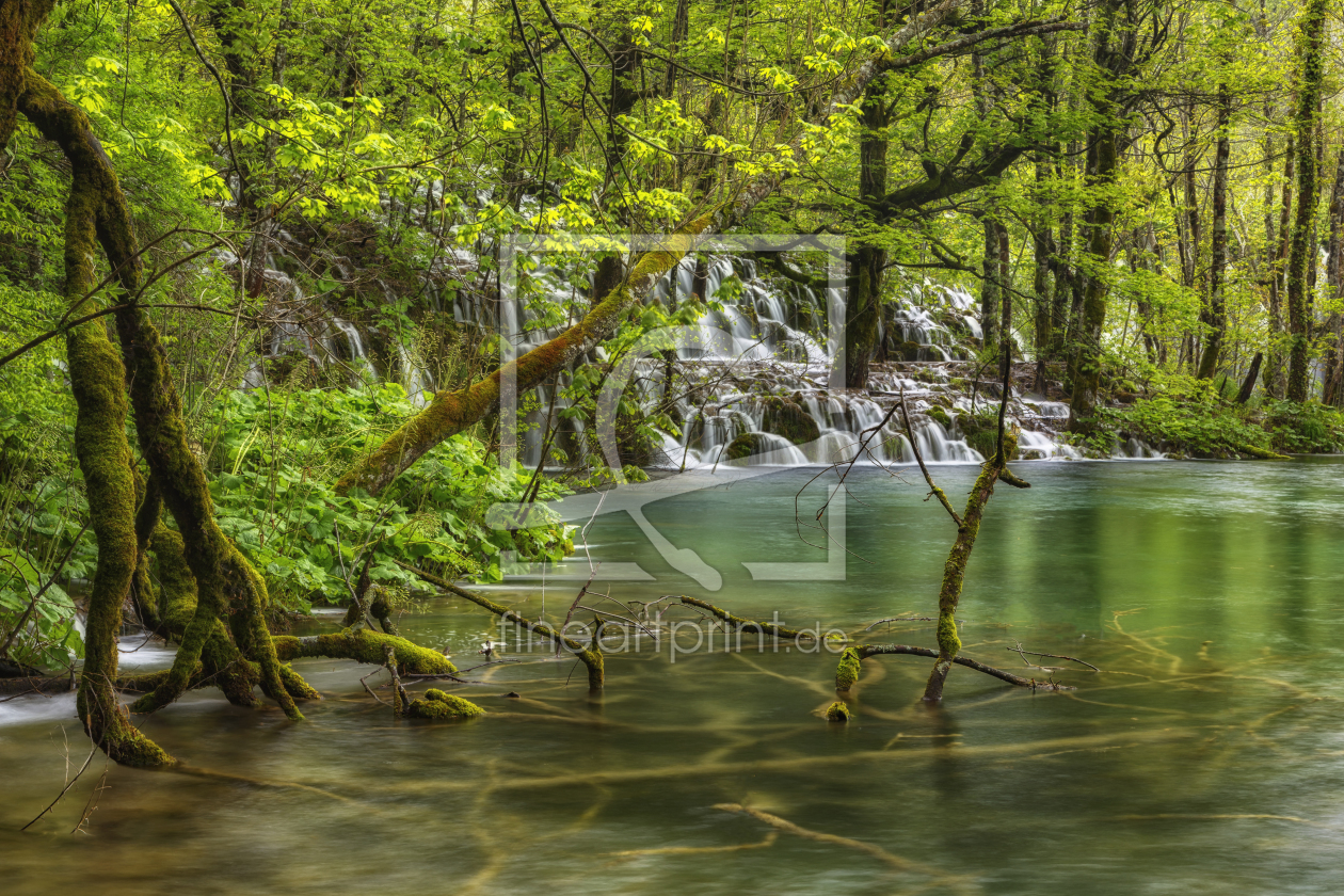Bild-Nr.: 11898703 wilder Wasserwald erstellt von Daniela Beyer