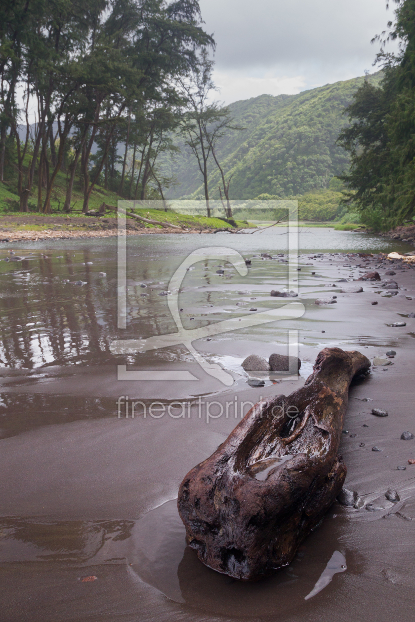 Bild-Nr.: 11898856 Pololu Valley auf Hawaii erstellt von DirkR