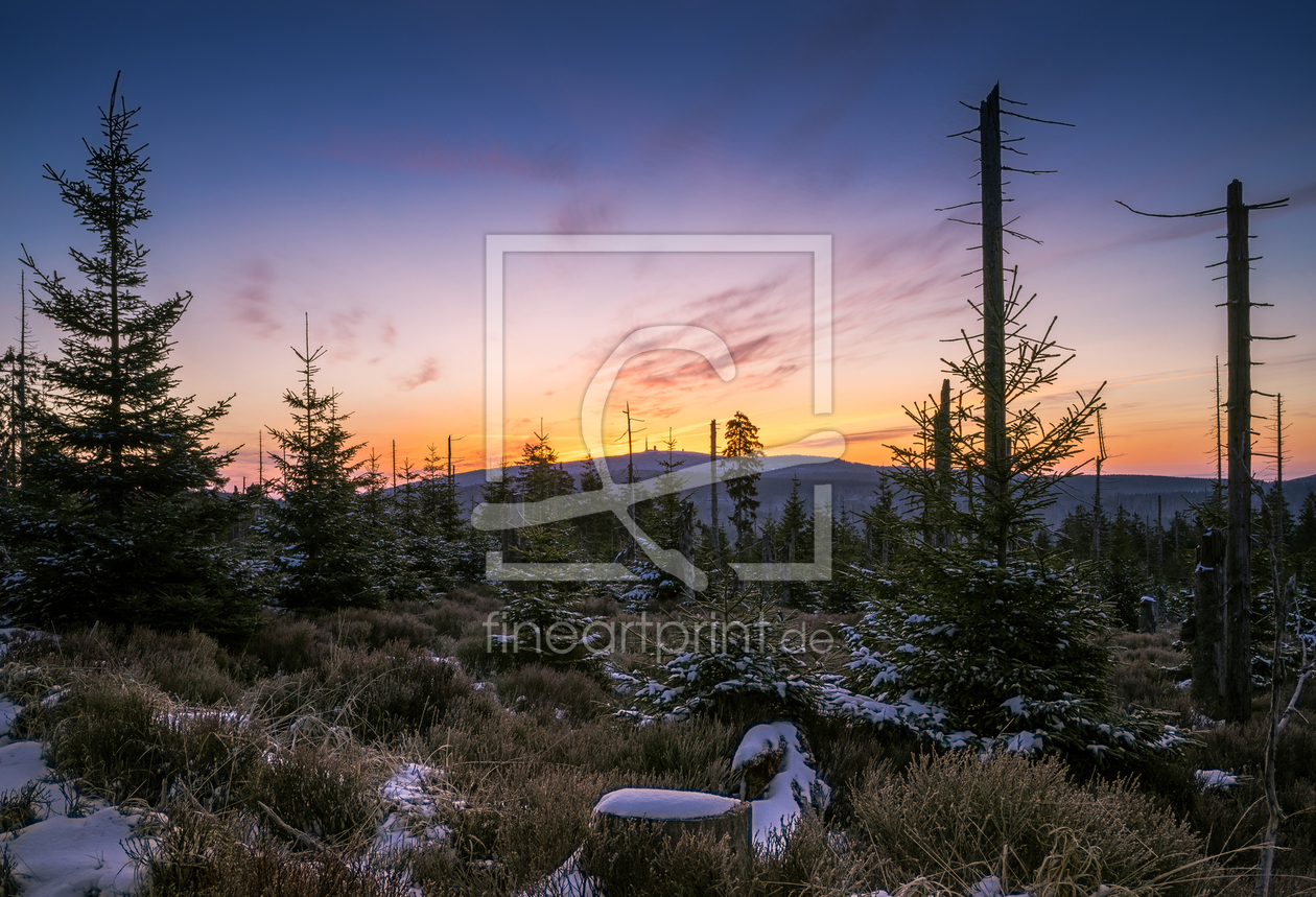 Bild-Nr.: 11900326 Wander zum Sonnenaufgang erstellt von Steffen Henze