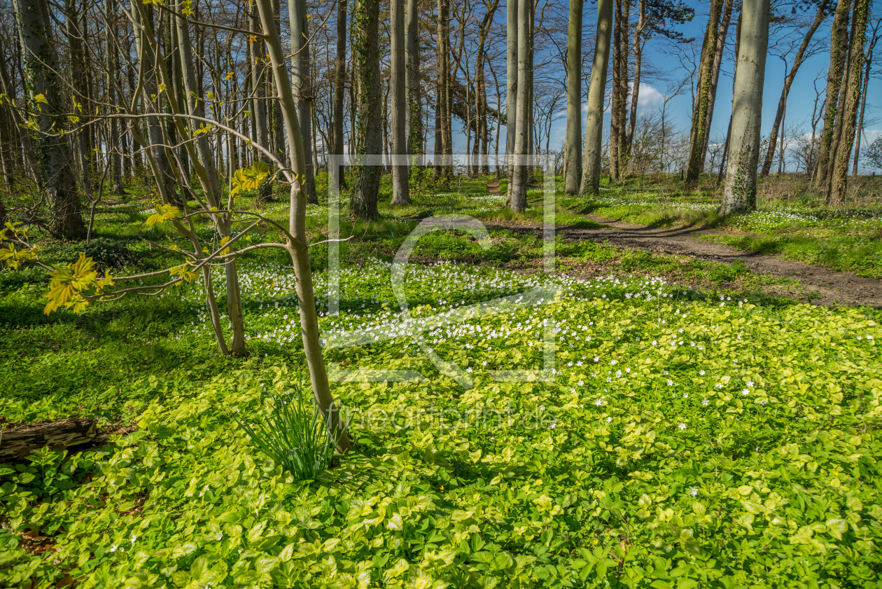 Bild-Nr.: 11901553 Naturerwachen erstellt von FotoDeHRO