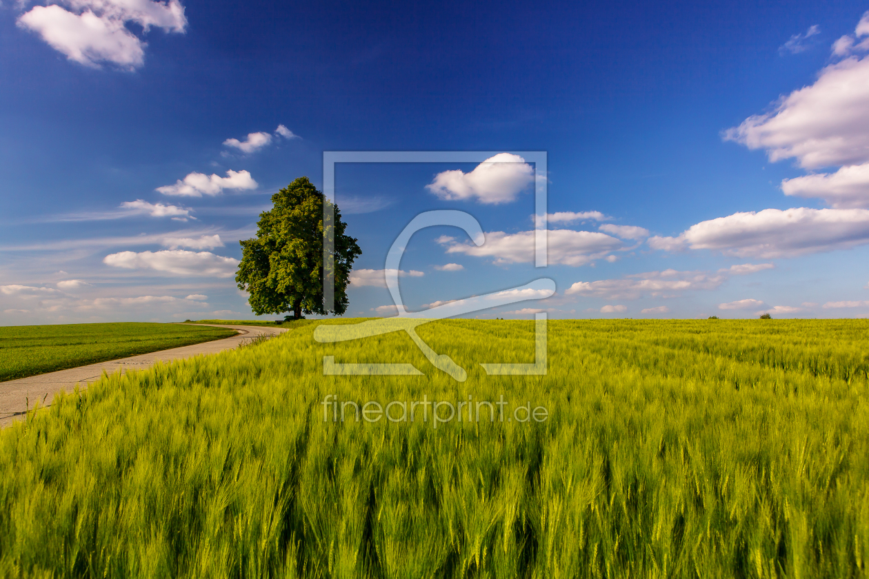 Bild-Nr.: 11901591 Frühling in Bayern erstellt von Achim Thomae