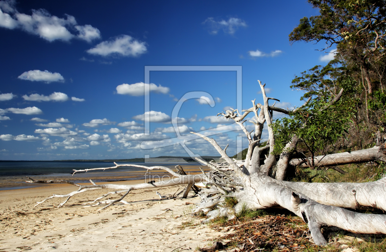 Bild-Nr.: 11902131 Fraser Island erstellt von DirkR