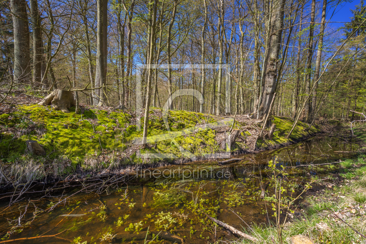 Bild-Nr.: 11902219 Im Wald erstellt von FotoDeHRO