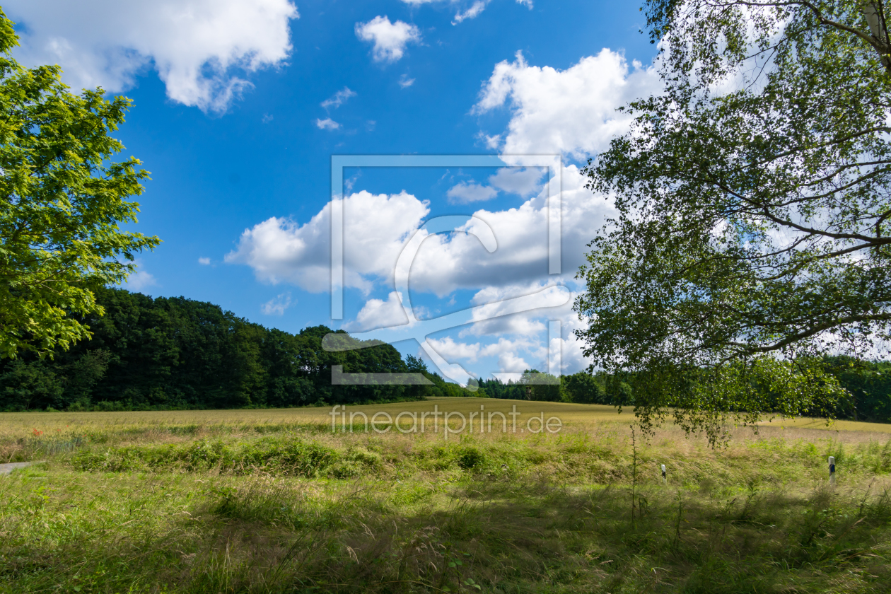 Bild-Nr.: 11902261 Blick über Wiesen und Feld zum Wald erstellt von RonNi