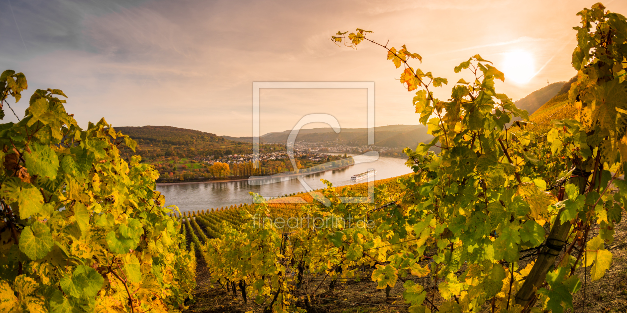 Bild-Nr.: 11902576 Herbst im Mittelrheintal erstellt von Richard-Young