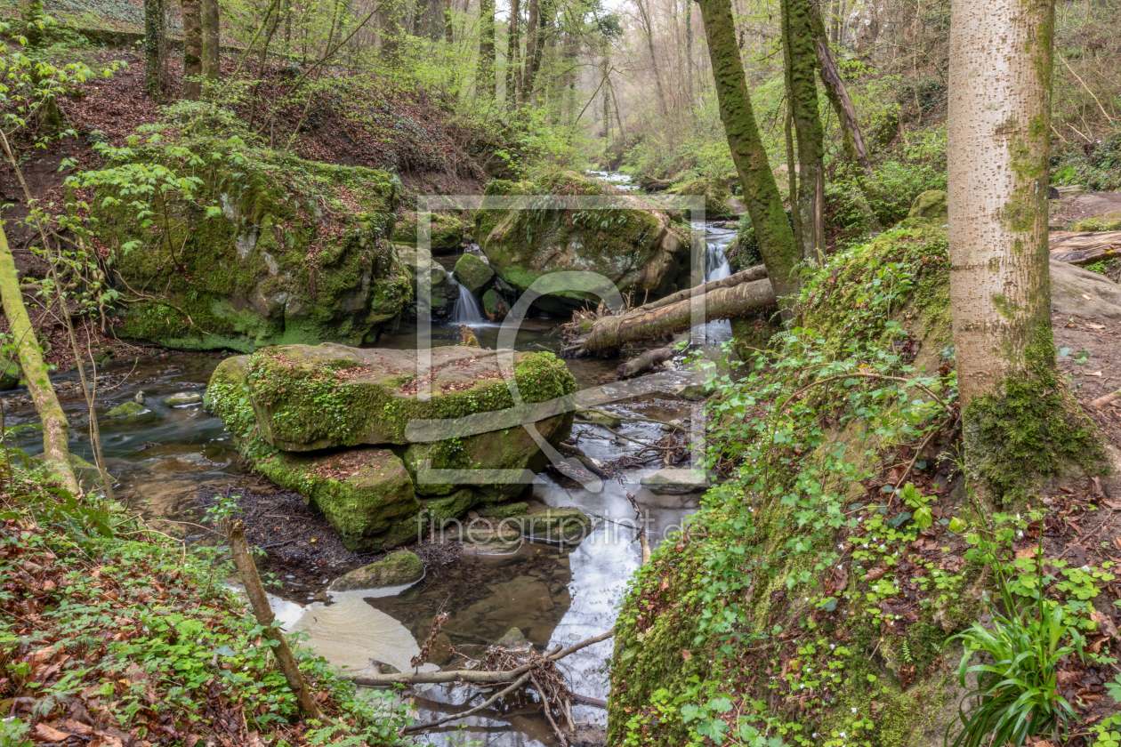 Bild-Nr.: 11903197 Fluss im Wald erstellt von Christian2Braun