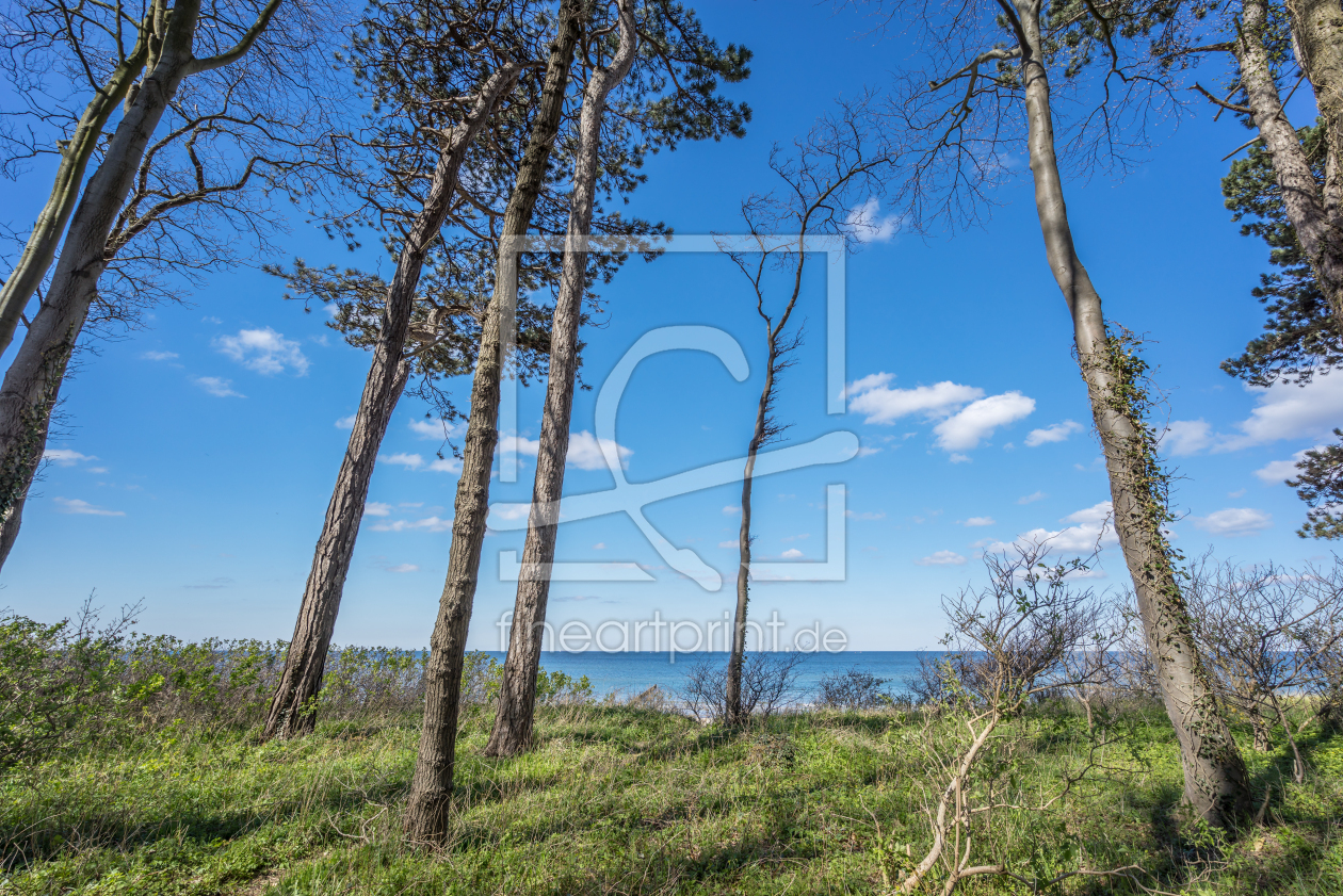 Bild-Nr.: 11903365 Steilküste erstellt von FotoDeHRO