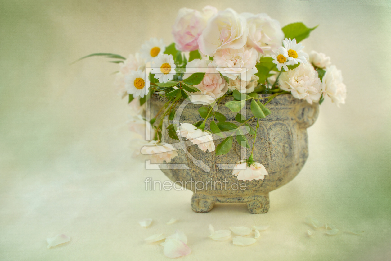 Bild-Nr.: 11903424 Sommerblumen Bild-Nr.: 11903424 Sommerblumen erstellt von eMBie