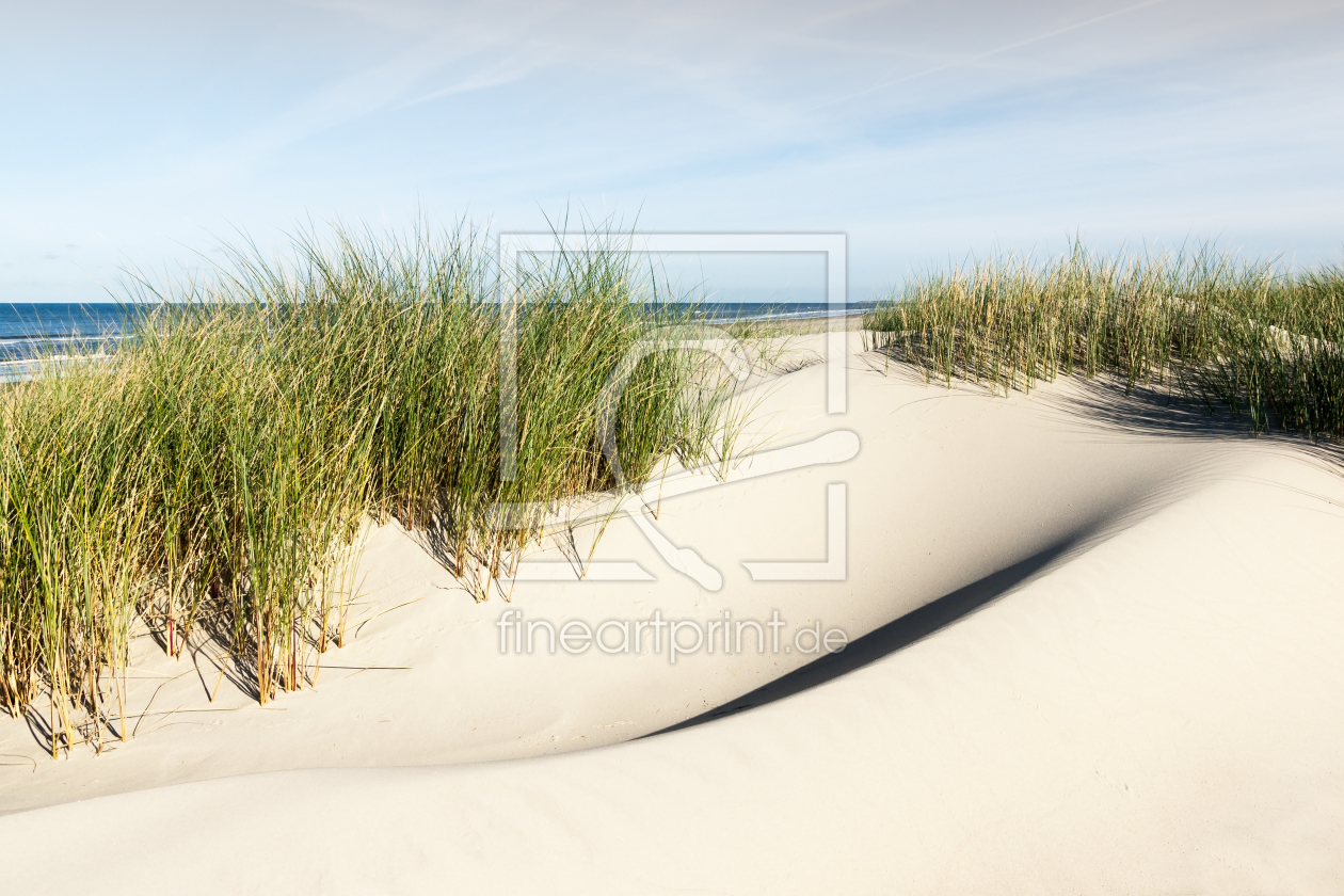 Bild-Nr.: 11903572 Prachtvolle Dünen auf Borkum erstellt von Reiner Würz