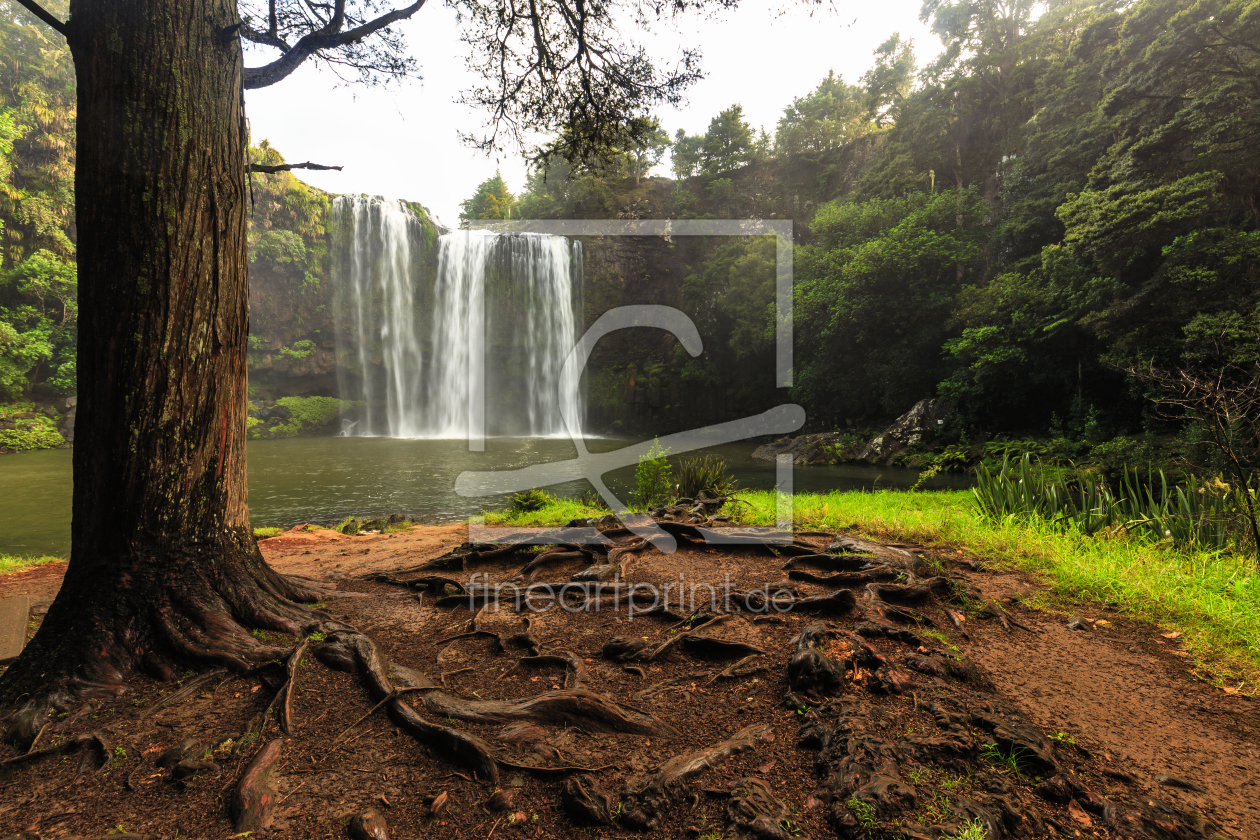 Bild-Nr.: 11904186 Whangarei Falls erstellt von TomKli