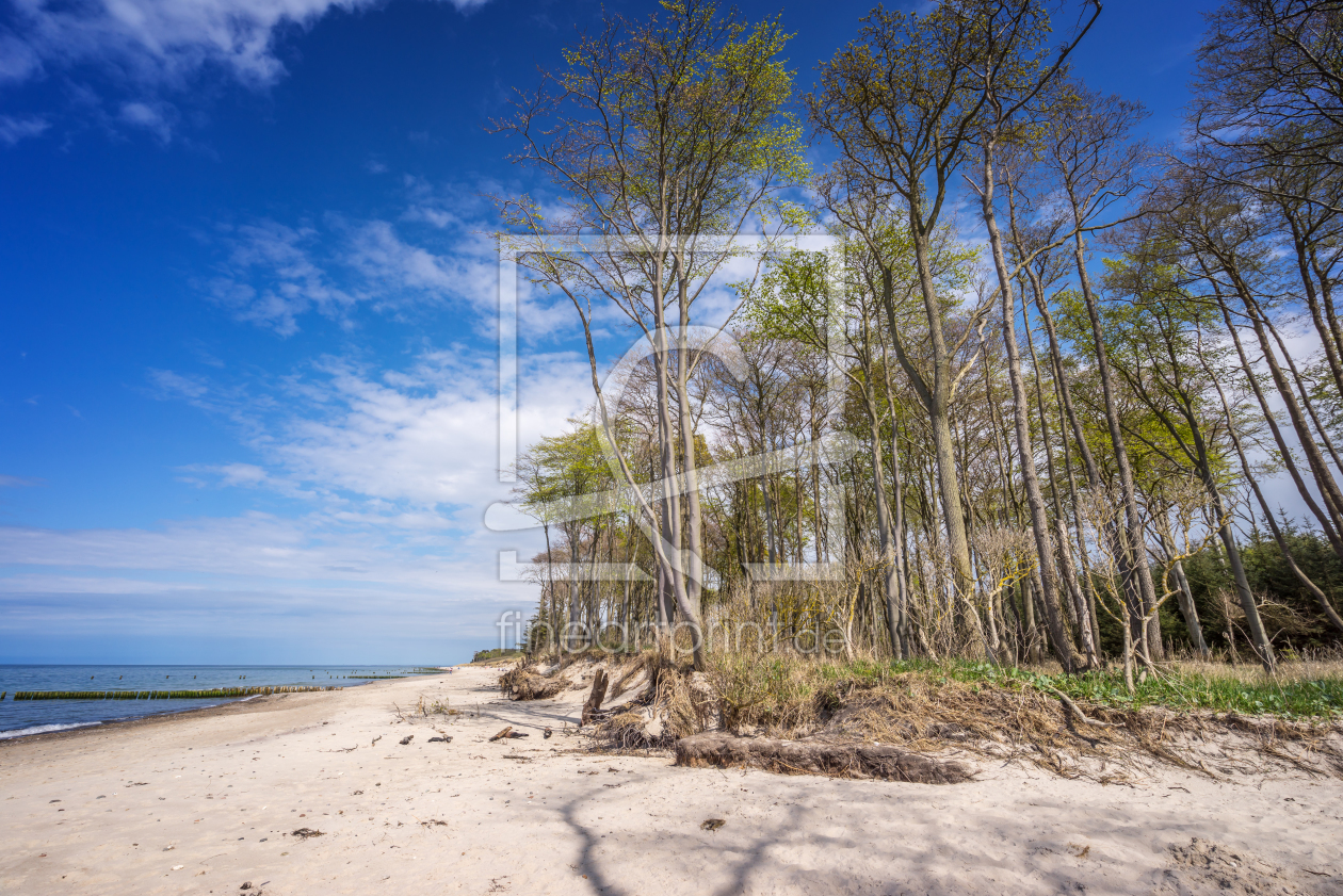 Bild-Nr.: 11905320 Naturstrand erstellt von FotoDeHRO