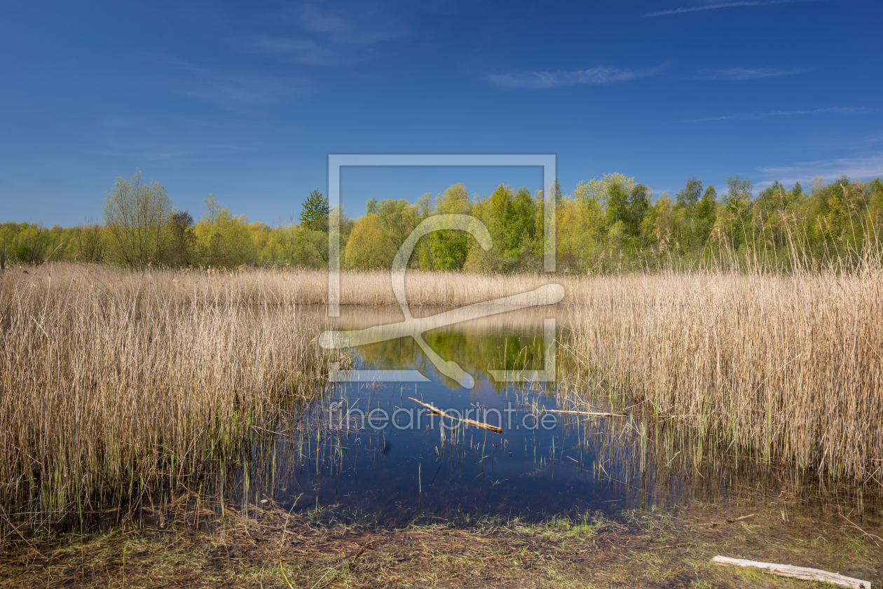 Bild-Nr.: 11905387 Moorwelt erstellt von FotoDeHRO