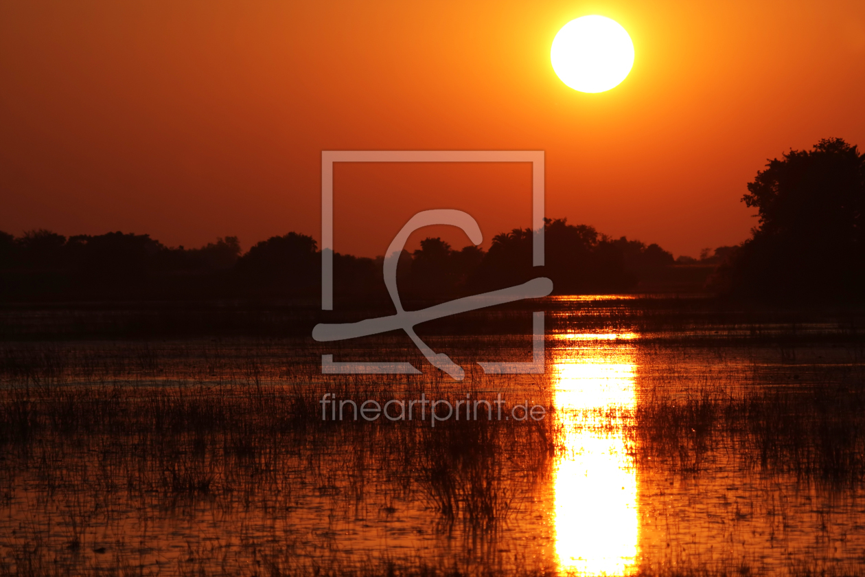 Bild-Nr.: 11905459 Sonnenaufgang im Okavango Delta erstellt von DirkR