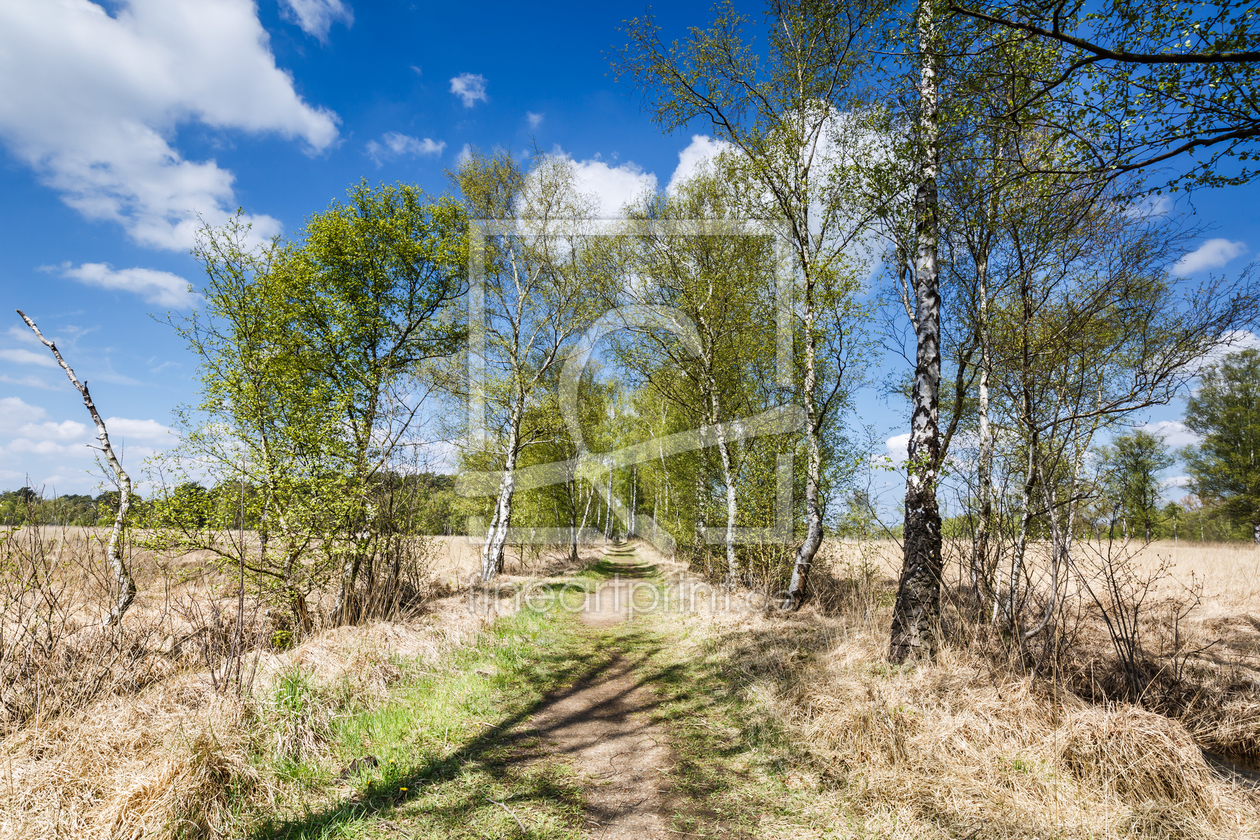 Bild-Nr.: 11905747 BIRKENWEG erstellt von Ursula Reins