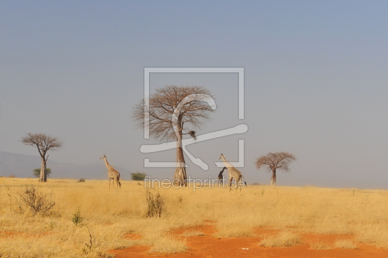 Bild-Nr.: 11905903 Ein Ort der Ruhe Bild-Nr.: 11905903 Ein Ort der Ruhe erstellt von Ningaloo