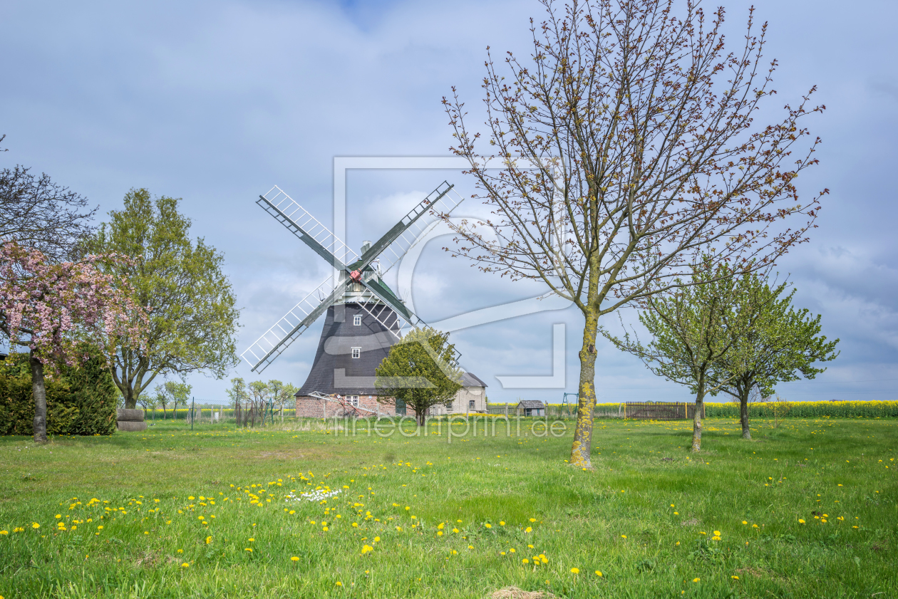 Bild-Nr.: 11905967 Mecklenburger Mühle erstellt von FotoDeHRO