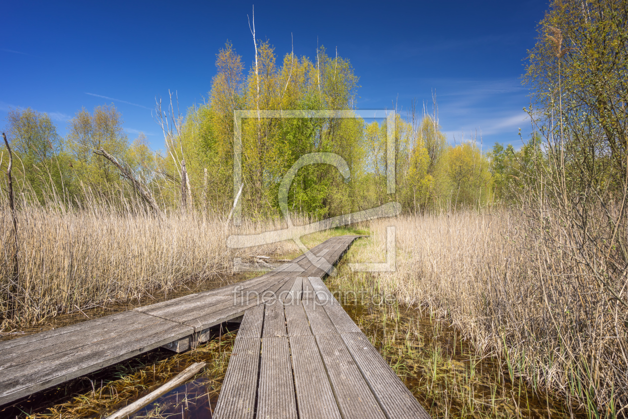 Bild-Nr.: 11906387 Im Moor Bild-Nr.: 11906387 Im Moor erstellt von FotoDeHRO