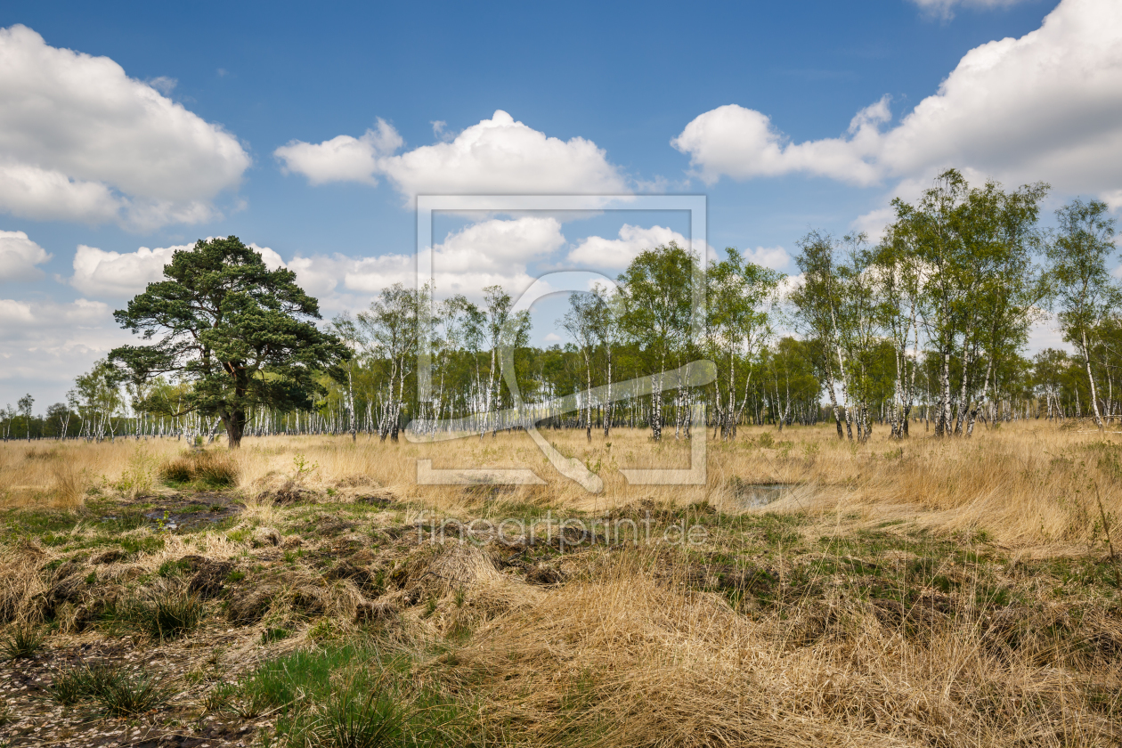 Bild-Nr.: 11908362 Natural Landscape erstellt von Ursula Reins