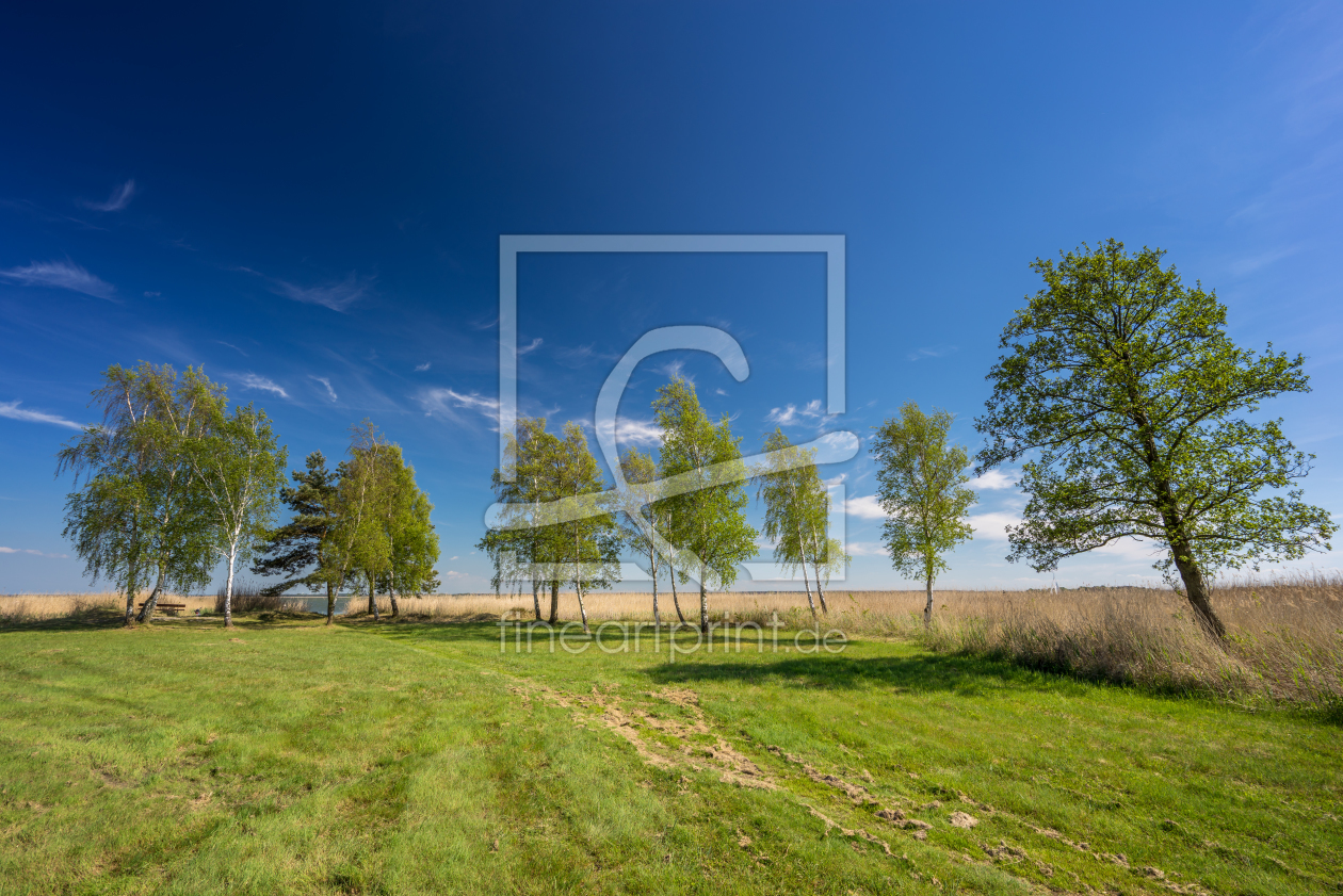 Bild-Nr.: 11908957 Boddenlandschaft erstellt von FotoDeHRO