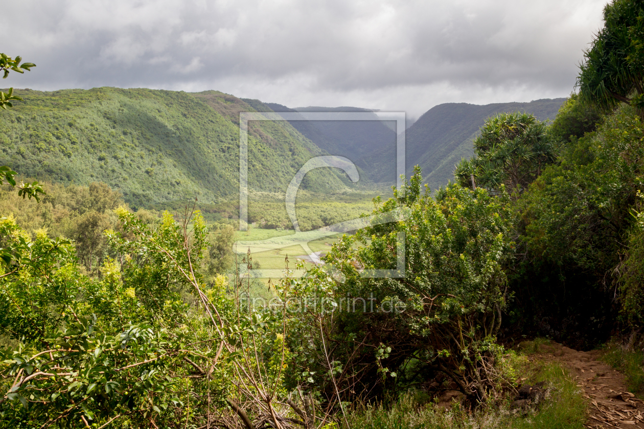 Bild-Nr.: 11909634 Pololu Valley auf Hawaii erstellt von DirkR