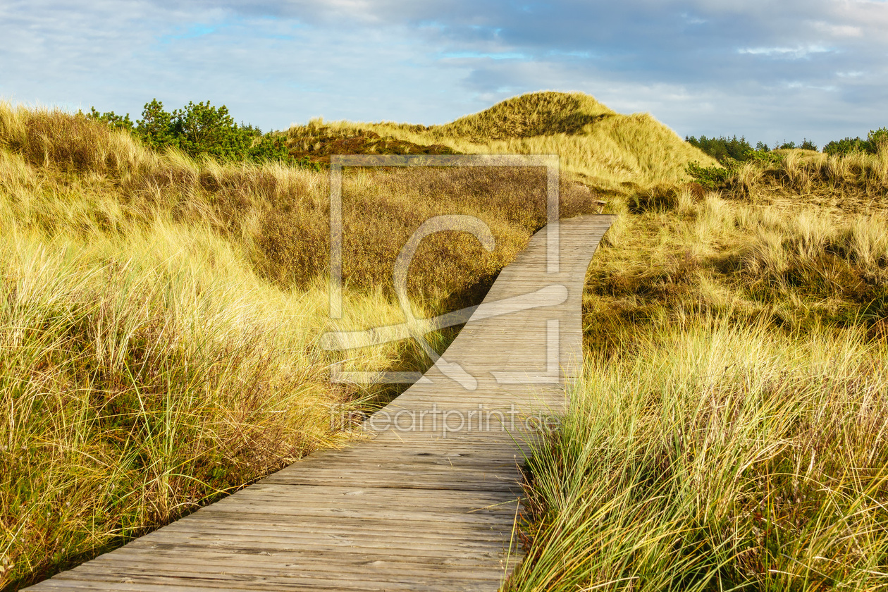 Bild-Nr.: 11911280 Dünenlandschaft Bild-Nr.: 11911280 Dünenlandschaft erstellt von Rico Ködder
