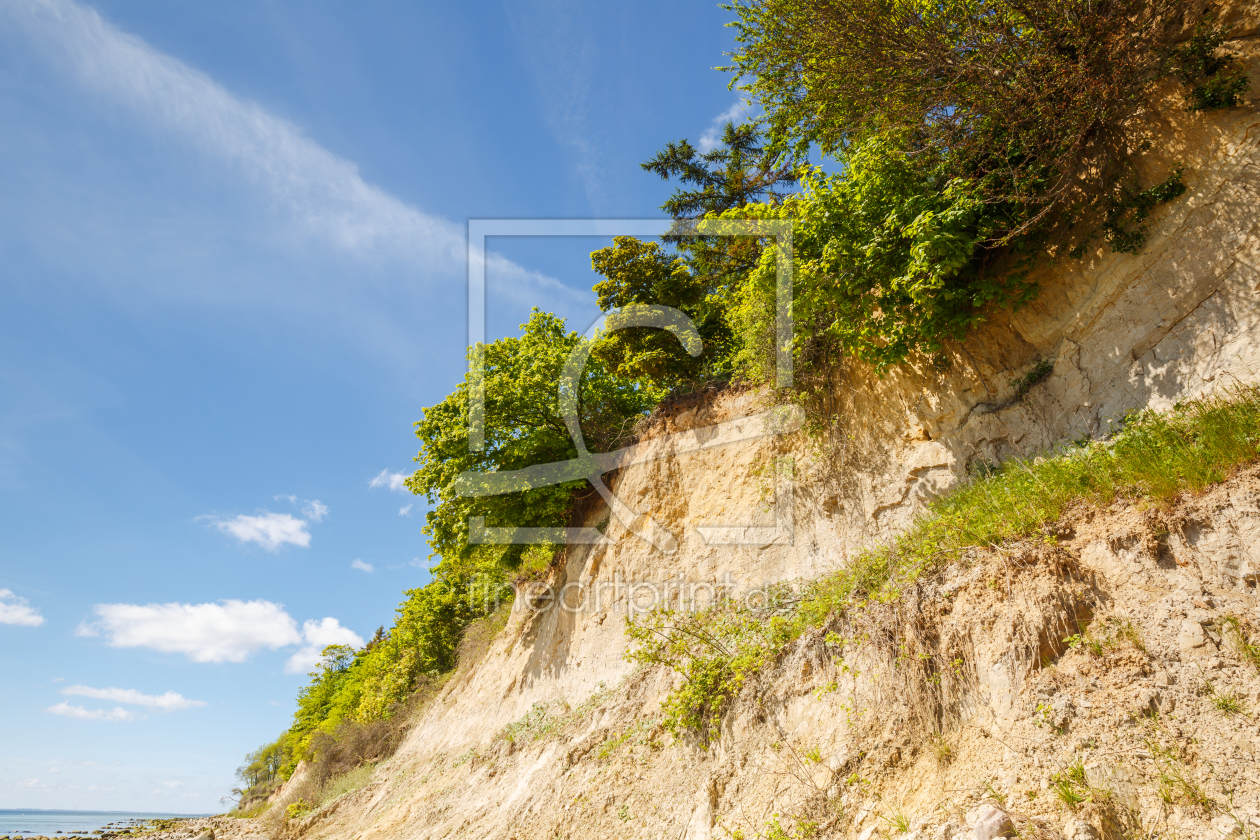 Bild-Nr.: 11911470 Frühling am Ostseekliff erstellt von Ursula Reins