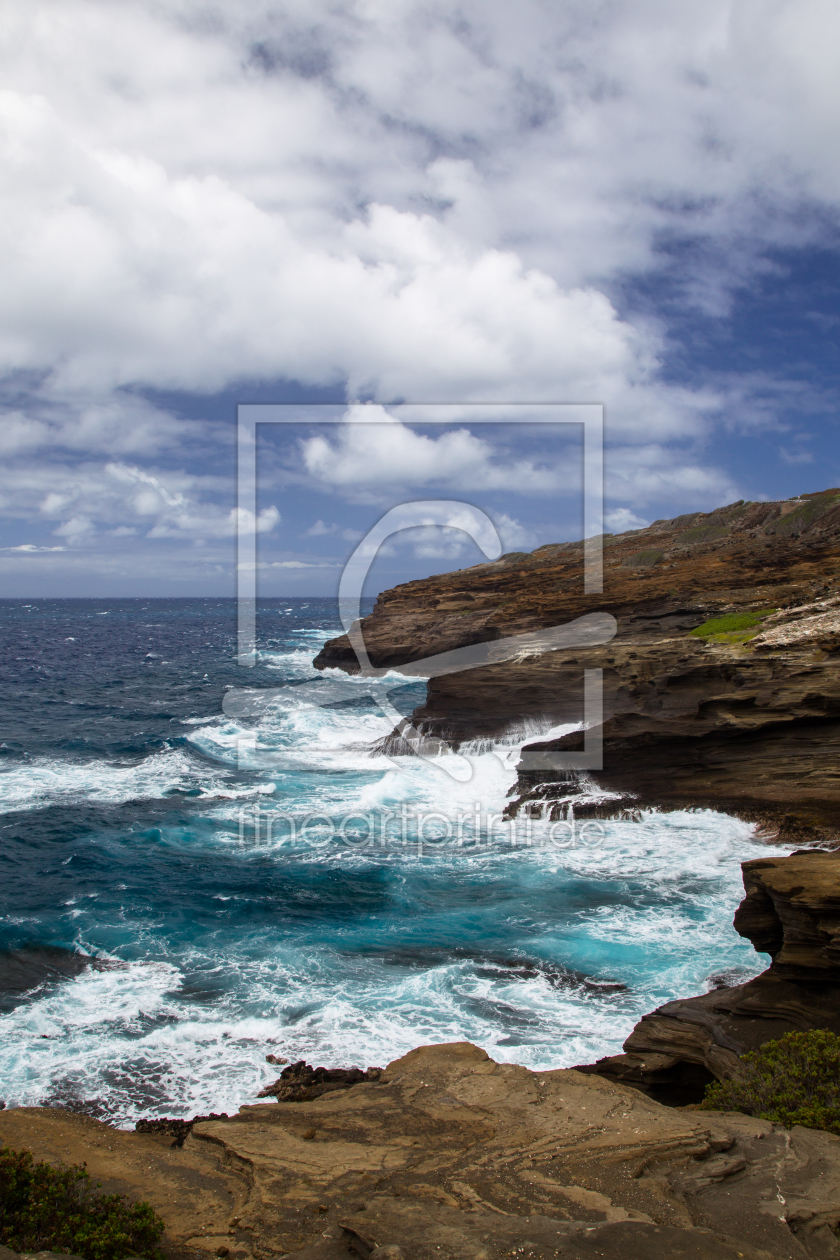 Bild-Nr.: 11911648 Halona Cove Bild-Nr.: 11911648 Halona Cove erstellt von DirkR