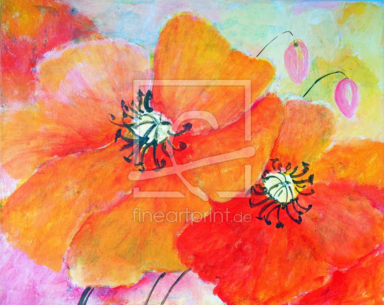 Bild-Nr.: 11912186 Mohn Bild-Nr.: 11912186 Mohn erstellt von Heynbraunschweig