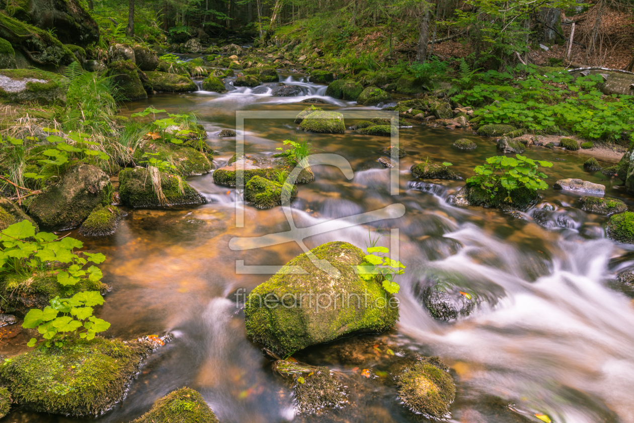 Bild-Nr.: 11912917 Bayerischer Wald Bild-Nr.: 11912917 Bayerischer Wald erstellt von luxpediation